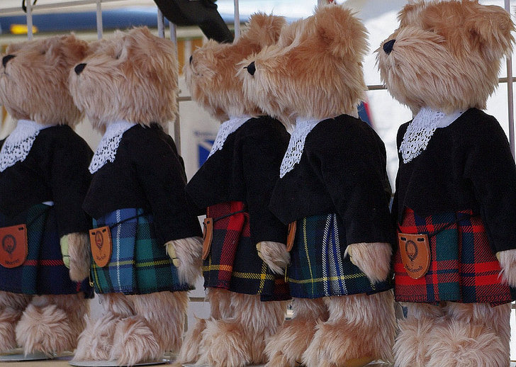 osos de peluche, Falda escocesa, ventana de la tienda, Ontario, Canadá
