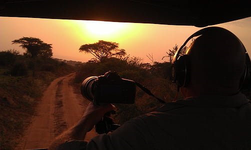 Safari, solnedgång, Afrika, Uganda, fotograf, väg resa, siluett