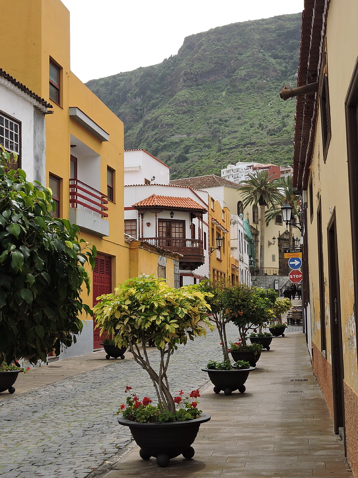 Tenerife, cidade, rua, árvore, arquitetura, casa, Europa