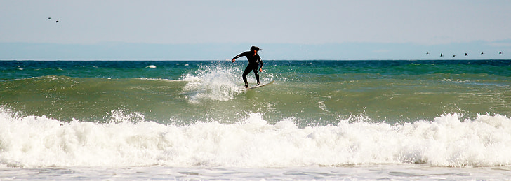 surfer, surfboard, surf, surfing, leisure, skill, beach