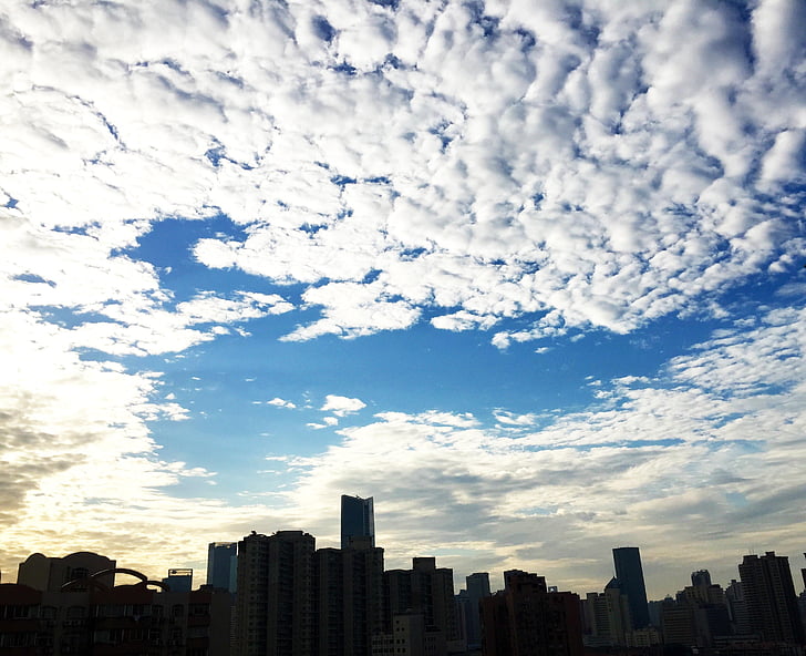 Shanghai, hommikul, taevas, pilve, siluett, pilvelõhkuja, linna panoraam