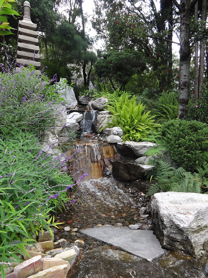 jardim, Japonês, fonte, planta, Rock - objeto, natureza, ao ar livre