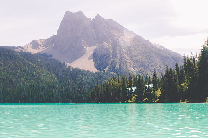 lake, blue, water, green, trees, plant, forest