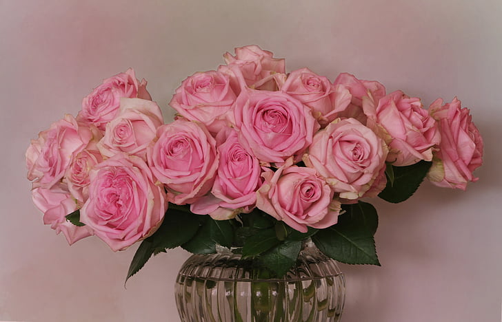 Strauß Rosen, Rosen, Familie der Rosengewächse, Rosengewächse, Blumen, Blume, Rose - Blume