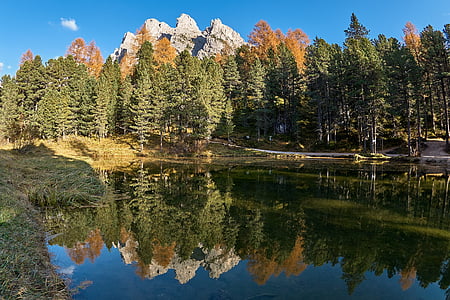 podzim, jezero, stromy, Les, Příroda, krajina, farbenspiel
