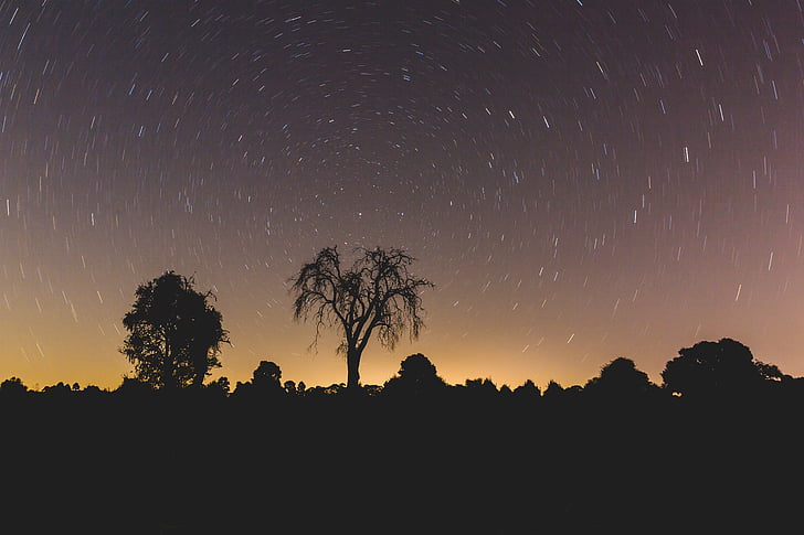 night, stars, galaxy, trees, plant, nature, silhouette