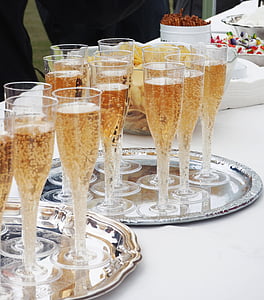 Bubbler, šampanjac, Srebrni pladanj, Fest, godišnjica, Inauguracija, stranka