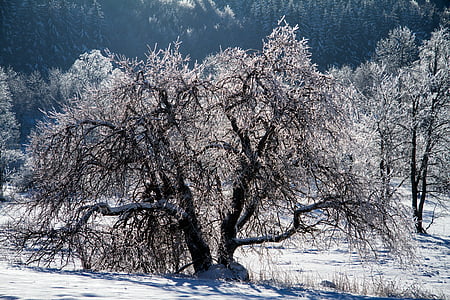взимку, сніг, зимового, hochrhoen, wasserkuppe, Зима в регіоні Rhön, Сніжне