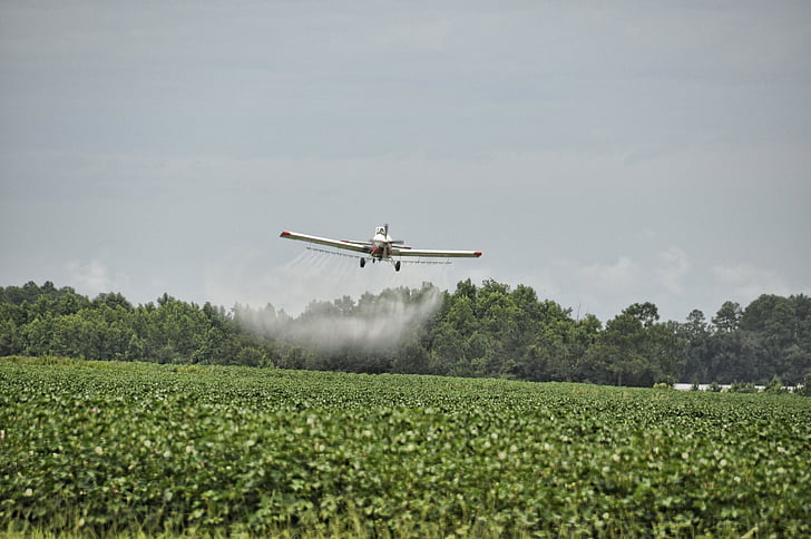 avião, Crop duster, perigoso, agricultura, aviões, fazenda, aviação