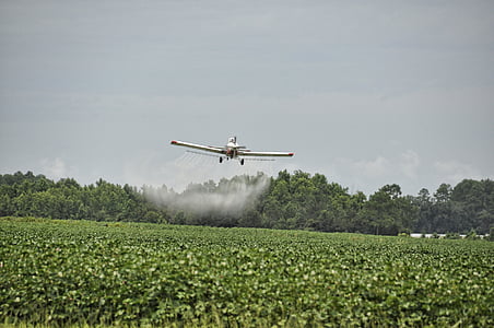 αεροπλάνο, ξεσκονόπανο καλλιεργειών, επικίνδυνες, Γεωργία, αεροσκάφη, αγρόκτημα, Αεροπορίας