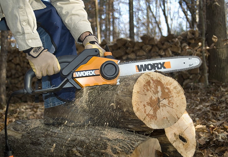 chainsaw, wood, tree, human body part, day, outdoors, close-up