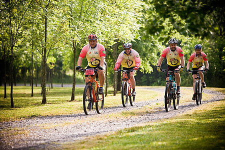 mountain bikes, cycling, bike, mountain, sport, biking, recreation