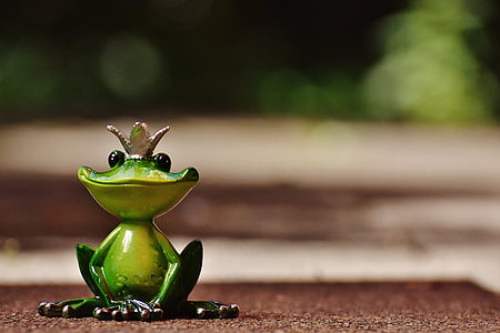 frog, frog prince, crown, figure, cute, sweet, funny