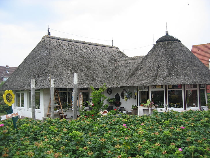 stråtak, thatched, hjem, pen, dekorative, Baltrum, trykt