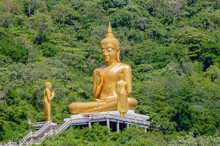 bilde, Buddha, glod
