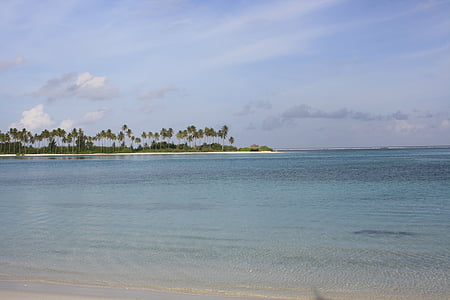 Maldives, illa, l'amor, paradís