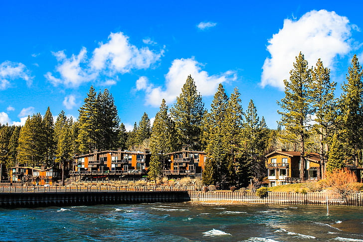 Tahoe, sjön, USA, lake tahoe, blå, vatten, träd