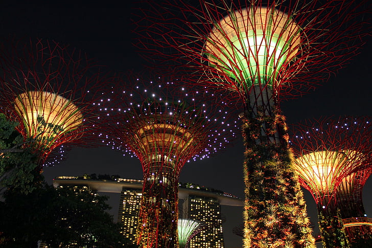 Σιγκαπούρη, δέντρο, ουρανός, διανυκτέρευση, ορόσημο, Πάρκο, Ασία