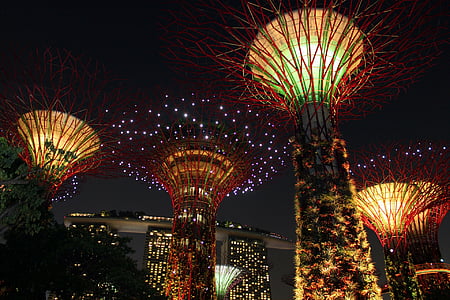 สิงคโปร์, ต้นไม้, ท้องฟ้า, คืน, โรงแรมแลนด์มาร์ค, สวน, เอเชีย