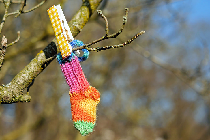 sock, colorful, knitted, hand labor, hangs, branch, clothes peg