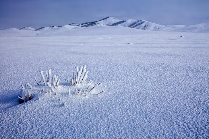 champ de neige, congelés, hiver, village de Bogart, décembre, Mongolie