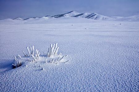 snowfield, beku, musim dingin, desa Bogart, Desember, Mongolia
