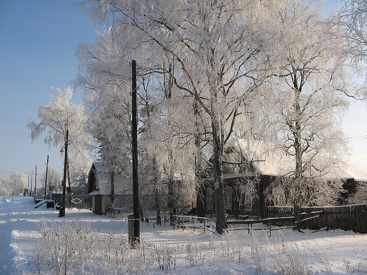 Zimní, vesnice, sníh, mráz, chlad, Chalupa, Rusko