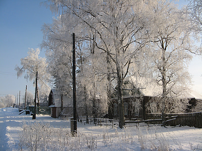 winter, village, snow, frost, cold, cottage, russia