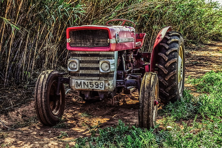 tractor, granja, l'agricultura, rural, camp, equips, vehicle