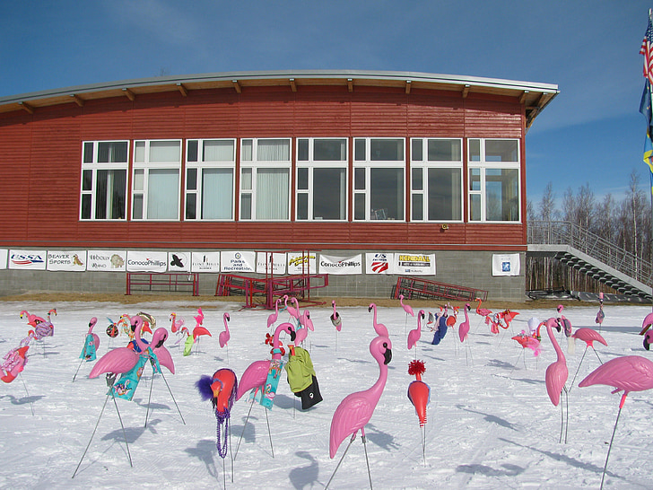 Fairbanks, Alaska, edificio, estación de esquí, invierno, nieve, hielo