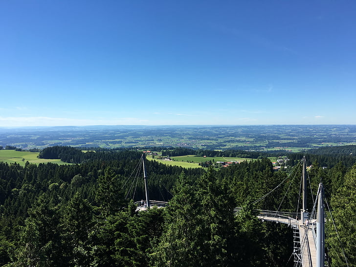 Allgäu, Konstanz Gölü, gökyüzünde, Treetop yürüyüş, Almanya, Turizm, tatil