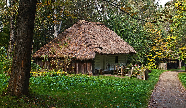 cover with straw, poland, malopolska, cottage, the roof of the, cover, straw