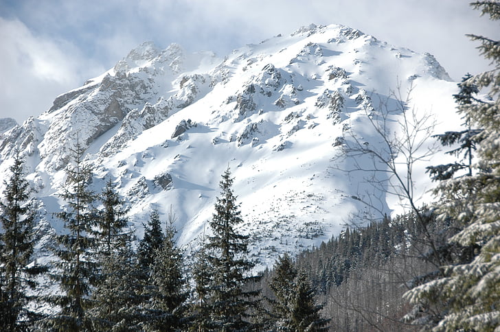 Tatry, Gerlach, talvel, lumi, mägi, loodus, maastik