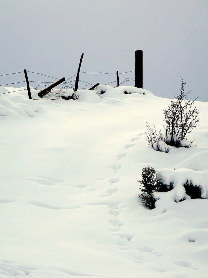 footprints, winter, tracks, snow, weather, nature, outdoor