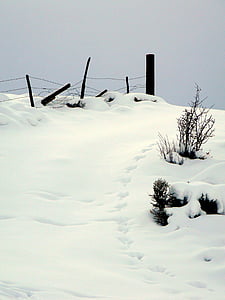 dấu chân, mùa đông, bài hát, tuyết, thời tiết, Thiên nhiên, ngoài trời