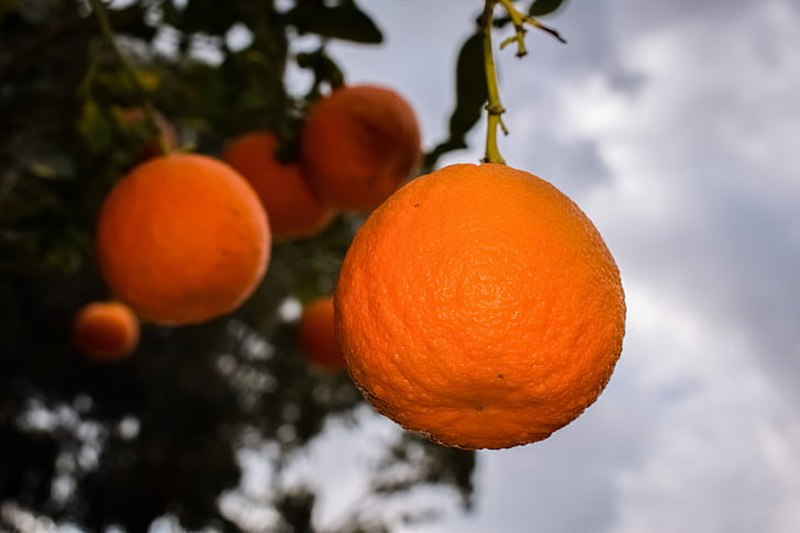orange, fruit, healthy, freshness, agriculture