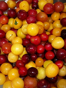Летние фрукты, вишни, фрукты, Лето, спелый, вишня, свежий
