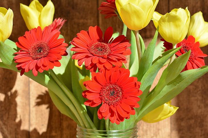 bouquet, tulips, gerbera, cut flowers, spring flowers, yellow flowers, red flowers