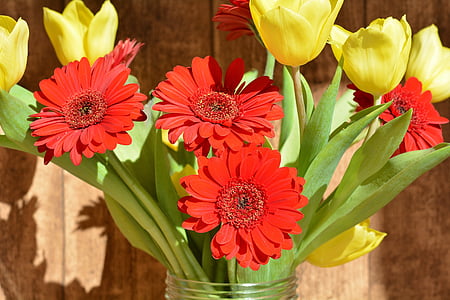 bouquet, Tulipani, Gerbera, fiori recisi, fiori di primavera, fiori gialli, fiori rossi