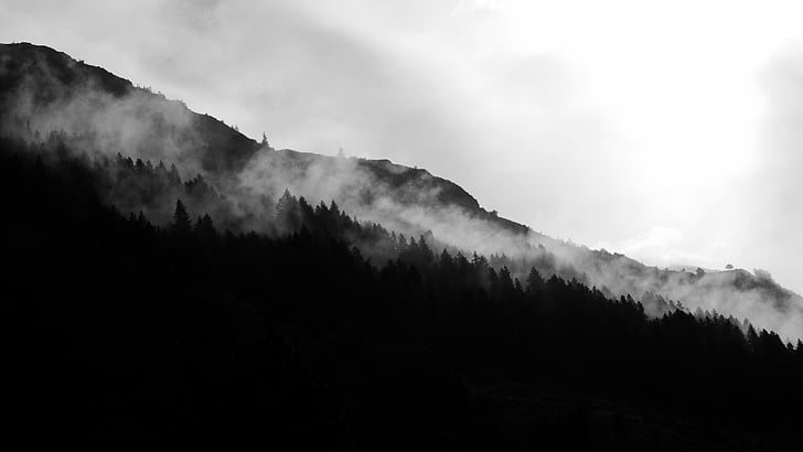 실루엣, 나무, fogs, 트리, 백색 산, 화이트 포리스트, 클라우드