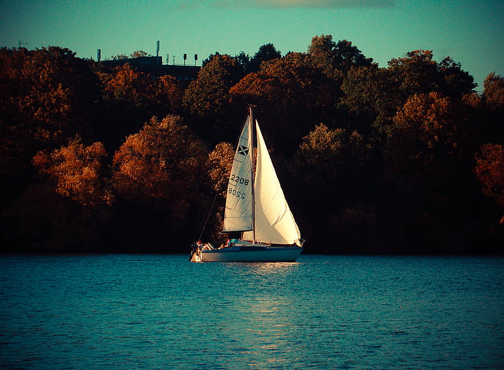 blanc, gris, vela, vaixell, cos, l'aigua, al costat de