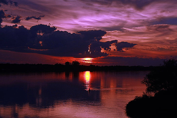 sunshine, landscape, water, reflection, bird, pond, sunset