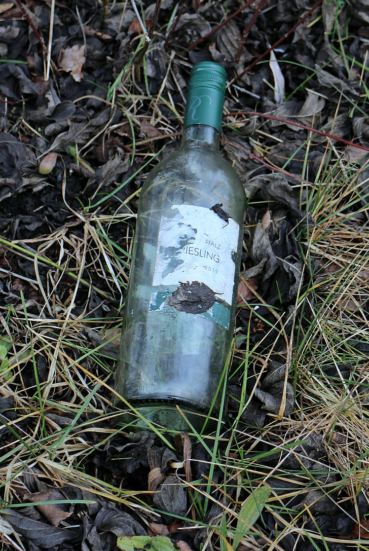 bottle, bottles, glass, garbage, wine, throw away society, on the side of the road