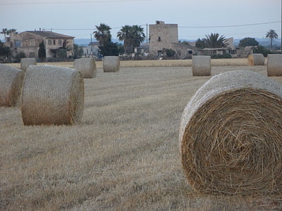 straw bales, hay bales, field, abendstimmung, mowed, straw, landscape