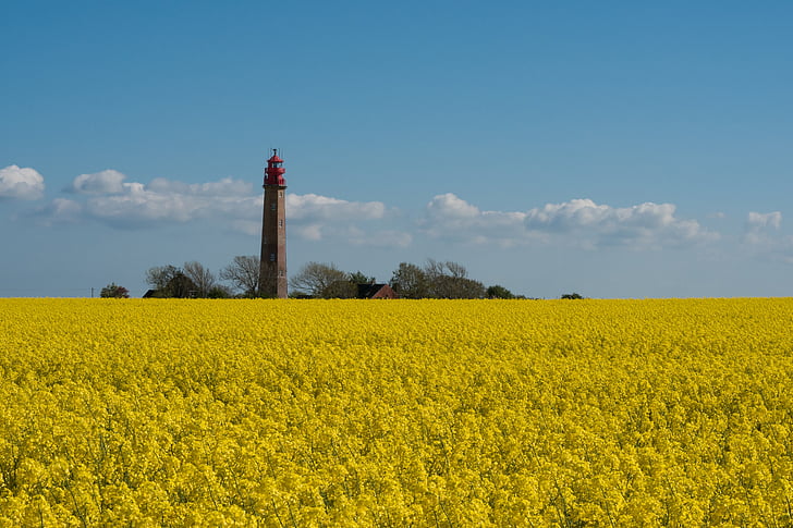 lighthouse, yellow, blue, sky, summer, europe, landscape