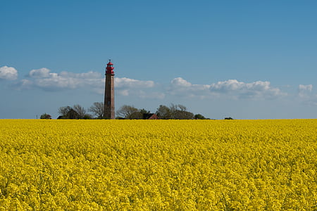 Lighthouse, kollane, sinine, taevas, suvel, Euroopa, maastik