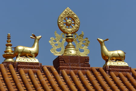 temple, roof, gold, roof ornament, lama, bhuddismus
