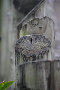 fence, logs, wood, wooden, tree, nature, old