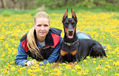 in conjunction with the, dog, friendship, doberman pinscher, woman, pets, dogs