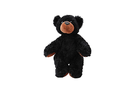 rotaļlieta, Tedijs, dzīvnieku, piemīlīgs, izolēta, lācis, Teddy bear